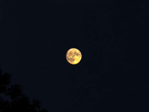 夜空中月亮的水平照片图片下载