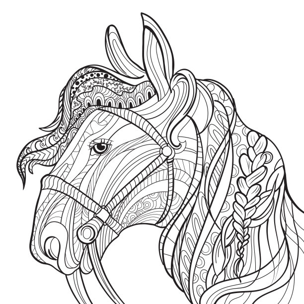 插图的黑白抗压力着色书与一个马头在矢量图片下载