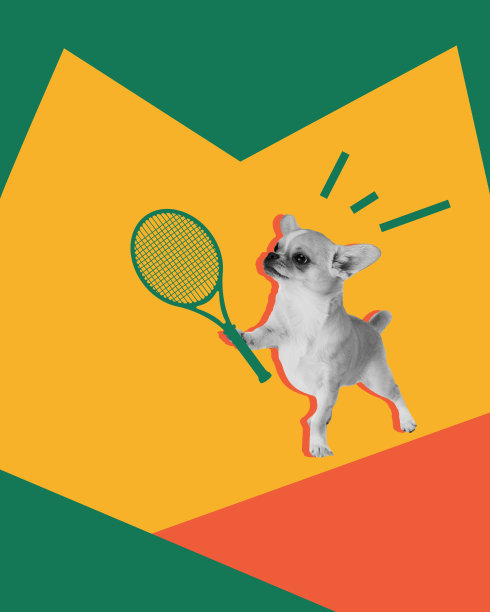 纯种狗，小吉娃娃打网球或羽毛球在多色抽象的背景。当代艺术拼贴。图片下载