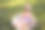 一个戴着墨镜的婴儿在夏日花园的金属浴缸里玩柚子和柠檬片图片下载