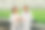 在现代化的温室里种植蔬菜、香草。生物学家、植物学家带着生菜走进温室，讨论现代农业实践中提高蔬菜和草药产量的方法图片下载
