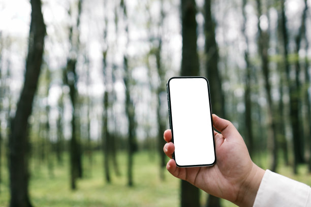 手里拿着手机，还有一张森林的照片图片下载