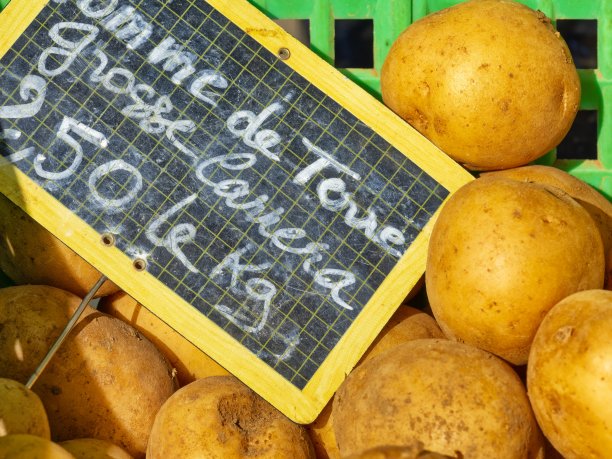 法国的Île de r<e:1>岛图片下载