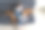 女人坐在沙发上，抚摸着两只维兹拉狗，在笔记本电脑上远程工作。爱的宠物。前视图。图片下载