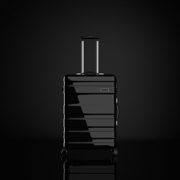 大型现代豪华塑料黑色手提箱。3d渲染图片下载