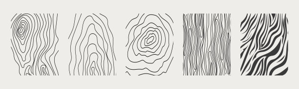 木材纹理材质手绘线条涂鸦。树干几何曲线和波浪轮廓。戒指和圆圈…图片下载