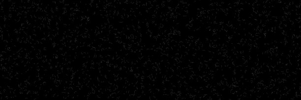 黑布上的猫毛图片下载