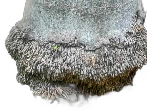 一顶绿花帽子的特写照片。图片下载