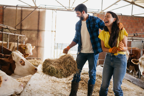 年轻的农民图片下载