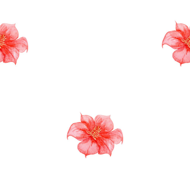 红色木槿水彩图案。无缝图案粉红色的热带花朵，夏威夷，植物花蕾插图纺织品，包装纸图片下载