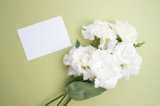 邀请模型与桉树树枝在彩色背景上，复制空间的卡片设计。婚礼的邀请。国际妇女节，母亲节的概念图片下载