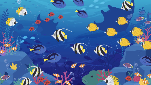 热带鱼图片下载