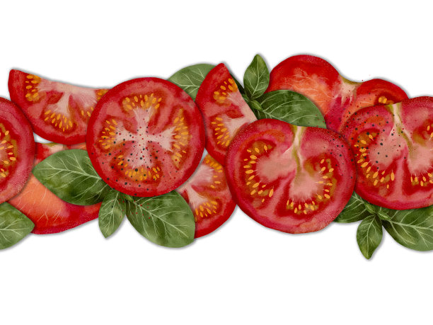 在干净的白色背景上摆放着新鲜切好的西红柿和罗勒图片下载