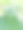 乡村生活花、树、叶的照片，植物园内白檀绿叶的特写照片，选择性聚焦。巴巴苏油，温室里的棕榈树叶子，图片下载