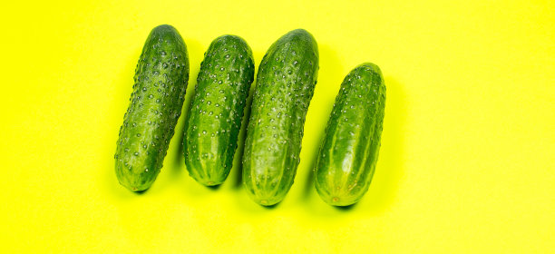 绿色成熟的黄瓜在黄色的背景上图片下载