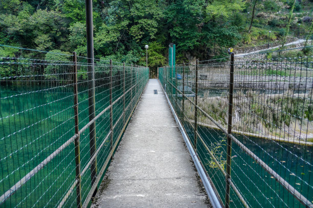 桥在森林里，数码照片的图片作为背景图片下载