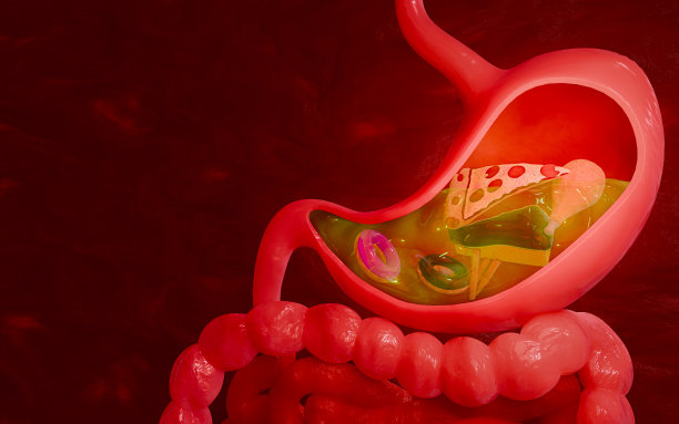 披萨和甜食。垃圾食品。胃酸倒流或胃酸过多的症状。高脂血症或动脉硬化。动脉闭塞的概念和人类血管作为一种疾病。三维渲染图片下载