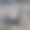动物,自然。草，野生动物，Еurope，罗马尼亚，图片下载