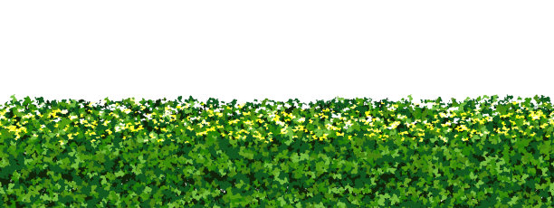 顶部的绿色树篱与白色的花朵作为一个无缝无尽的图案图片下载