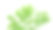 一棵柚木树在白色背景上的剪接路径。图片下载