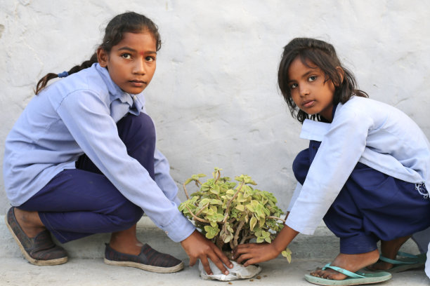 小学生手里拿着植物图片下载