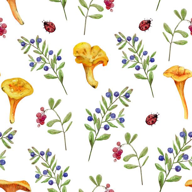 鸡油菌菇，蓝莓，红莓，野生浆果和瓢虫，无缝水彩图案在白色或透明的背景，用于食品包装，化妆品，包装纸图片下载