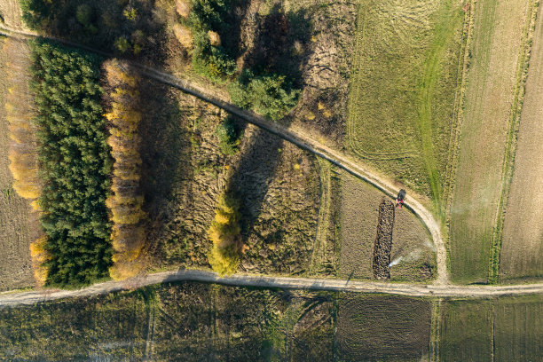 克拉科夫县的Suloszowa村。无人机在田间种植谷物的照片。波兰美丽的村庄，有房子和田地。从无人机的鸟瞰图中，村庄位于田野的中央。图片下载