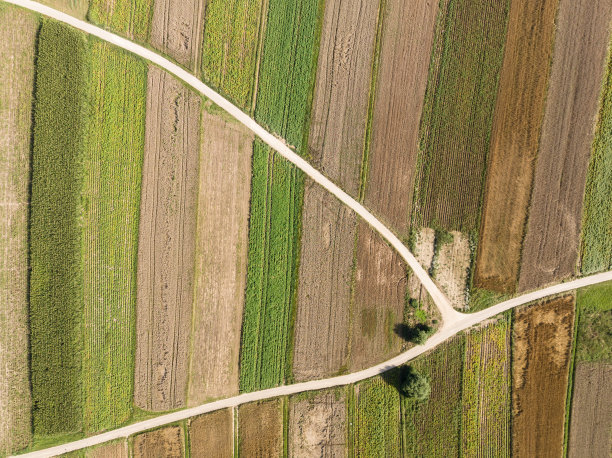 克拉科夫县的Suloszowa村。无人机在田间种植谷物的照片。波兰美丽的村庄，有房子和田地。从无人机的鸟瞰图中，村庄位于田野的中央。图片下载