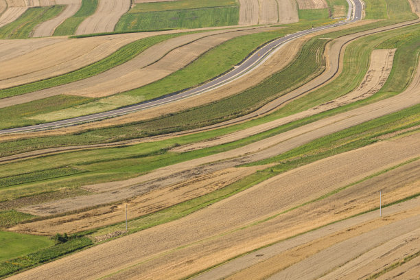 克拉科夫县的Suloszowa村。无人机在田间种植谷物的照片。波兰美丽的村庄，有房子和田地。从无人机的鸟瞰图中，村庄位于田野的中央。图片下载