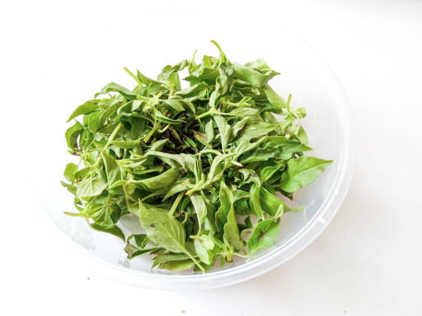 片片罗勒叶孤立在白色上。准备烹饪图片下载