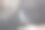 企鹅游泳图片下载