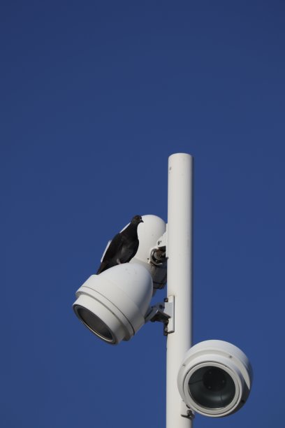 花园灯与明亮的蓝天背景图片下载