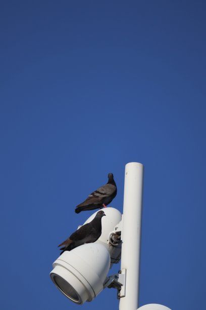 花园灯与明亮的蓝天背景图片下载