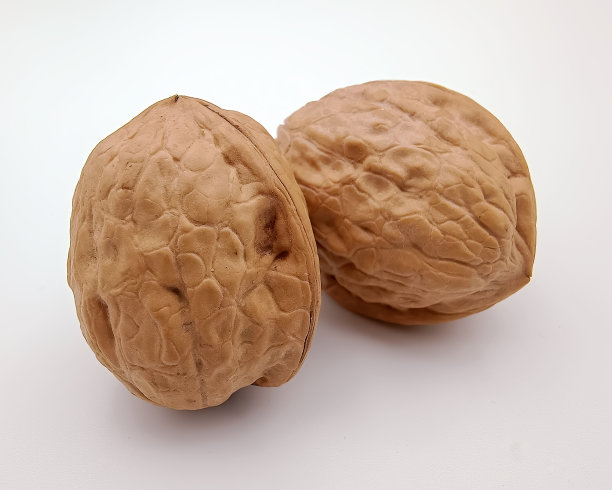 坚果,核桃。白色背景上两个核桃的详细照片图片下载