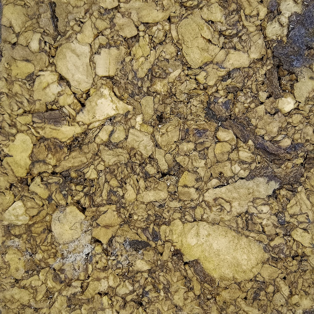 软木瓷砖特写。无缝软木纹理图片下载