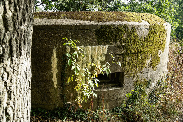 英国萨里郡的二战防线图片下载