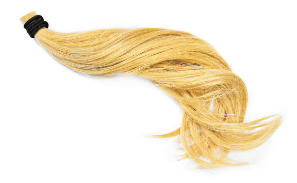 金发白底图片下载