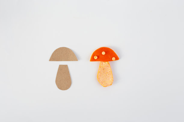 几片陈皮放在桌子上，概念艺术，蘑菇形状，特写，剪纸拼贴，自上而下的照片，图片下载