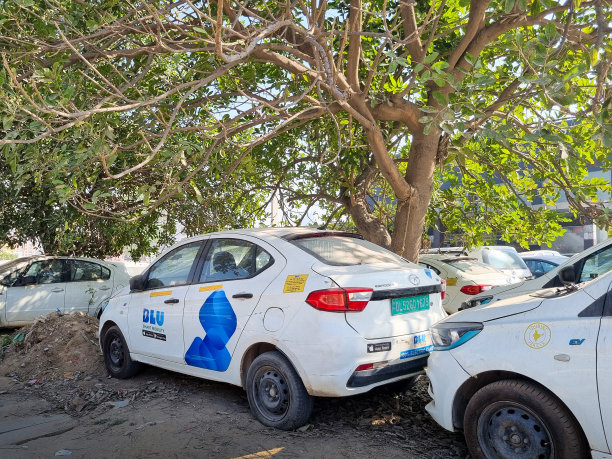 Blusmart蓝色电动汽车停靠在树荫下图片下载