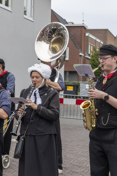 荷兰巴内维尔德的Veluwe市场图片下载