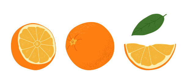 白色背景上孤立的橙色果实。矢量插图，水果图标。图片下载