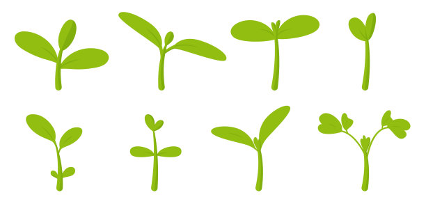 小绿苗，小植物，树苗矢量插图图片下载