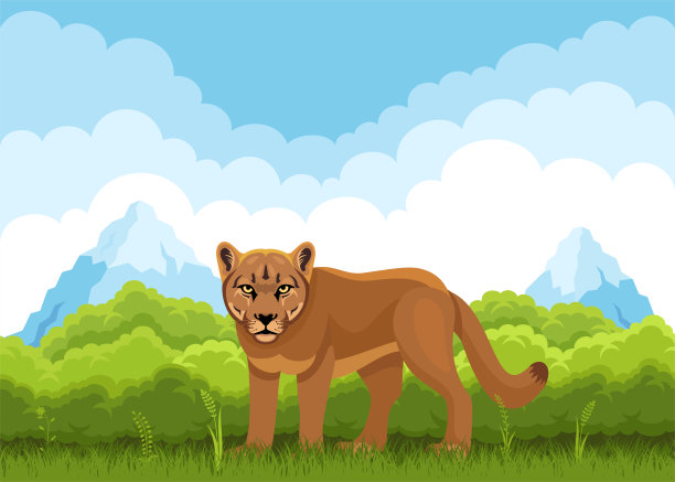 美洲狮的性格。吉祥物创意设计。森林里的美洲狮。图片下载