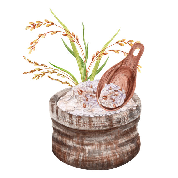 米粒装在麻袋里，配以传统的木勺组成。手绘水彩插图从背景隔离。适用于亚洲食品的标签及大米包装图片下载