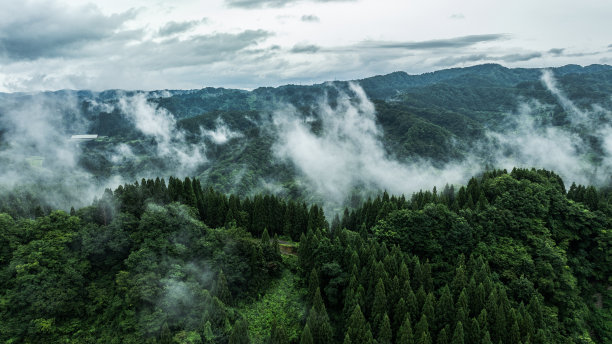 无人机拍摄的照片:夏季多雾多雨的山区图片下载