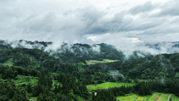 无人机拍摄的照片:夏季多雾多雨的山区图片下载
