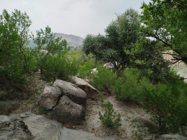 一张浅灰色石头背景的特写详细照片图片下载