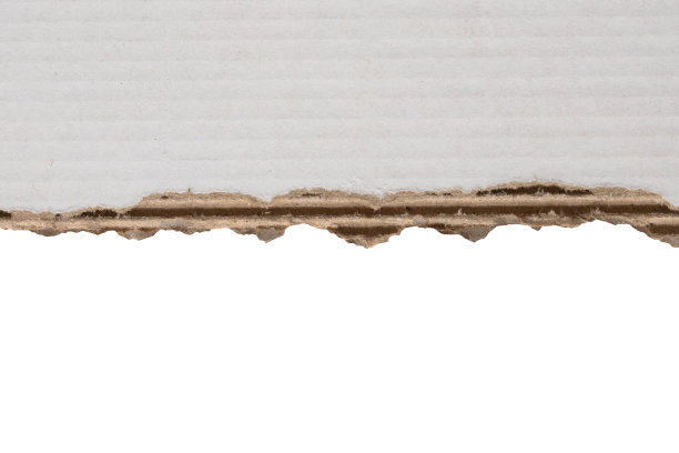 白色撕开的纸撕裂的边缘条孤立在白色的背景图片下载