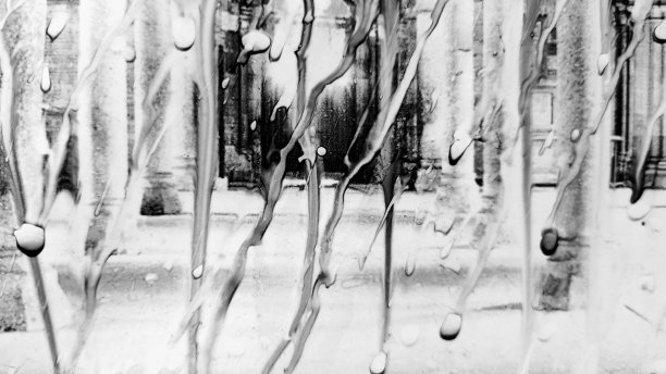 迷人的照片图片下载