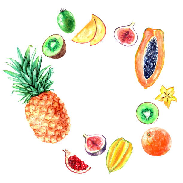 手绘水彩水果框架。菠萝、木瓜、猕猴桃、芒果、橙子、无花果、菲霍阿、杨桃。图片下载